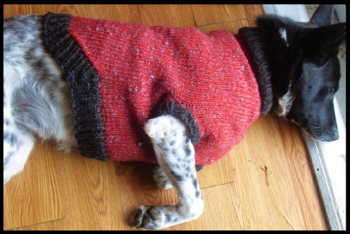 Τέλεια εφαρμοστό από Πάνω προς τα Κάτω Πουλόβερ για το κατοικίδιο