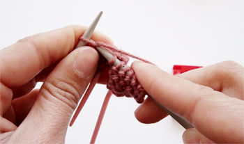 πλεξούδα τουλίπα 3