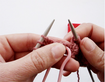 πλεξούδα τουλίπα 5